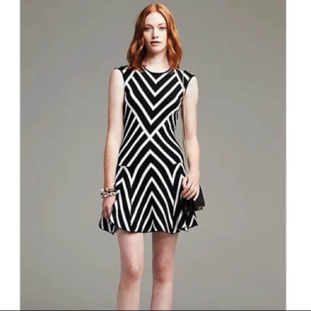 Banana Republic Drop Waist Stripe Dress